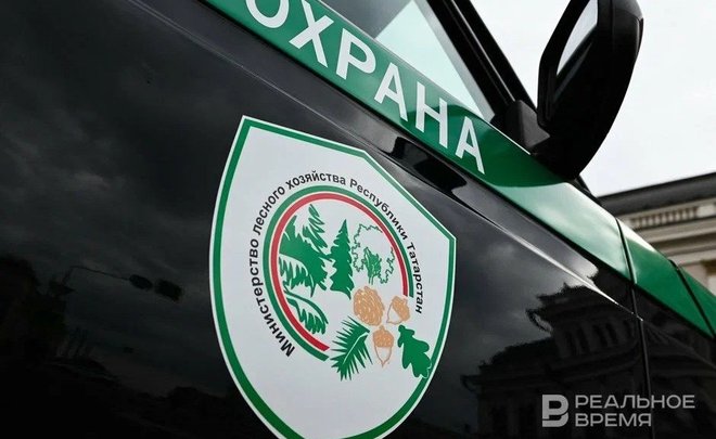 Татарстан смог не допустить лесных пожаров в 2023 году