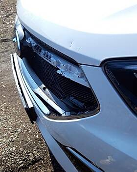 Бездомные собаки клыками разворотили бампер машины в МинВодах