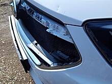 Бездомные собаки клыками разворотили бампер машины в МинВодах