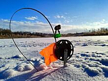 В Курской области лов рыбы в «зимовальных ямах» запрещен до 30 апреля