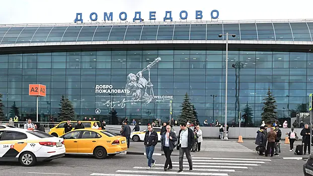 Аэропорт Домодедово конфисковали в доход государства