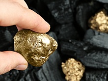 Solidcore взрывает рынок: производство золота выросло на 37%