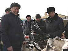 Депутат Ил Тумэн Иван Андреев чествовал оленеводов арктических районов