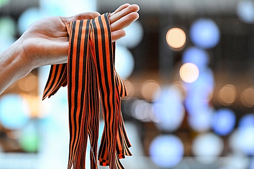 В Калужской области установлены дети мигрантов, осквернившие георгиевскую ленту