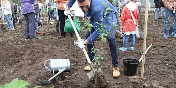 Москвичи подали более 3 тысяч заявок на участие в акции "Наше дерево"