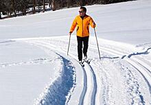 Тренировки по катанию на лыжах и коньках можно посещать в СВАО