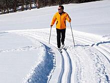 Тренировки по катанию на лыжах и коньках можно посещать в СВАО