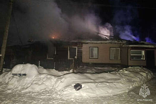 МЧС: семилетняя девочка погибла при пожаре в поселке Кропачево