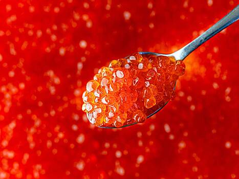 Названа самая популярная у россиян икра