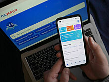 На «Госуслугах» предложили создать сервис для проверки нянь