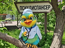 Челябинская психбольница регистрирует товарный знак «Кукух»