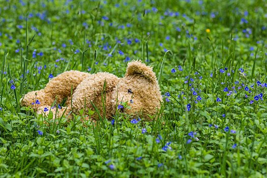 Пропавшего в Приморье мальчика нашли живым