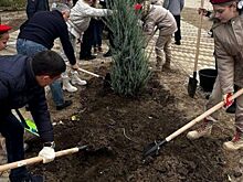 День древонасаждения - один из самых любимых праздников ростовчан