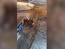Драка москвичей у мусорных баков за просрочку из «Дикси» попала на видео