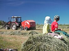 Сельским туризмом в Крыму занимается более 20 агропроизводителей