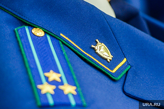 Силовики высказали претензии к 12 депутатам челябинского заксобрания