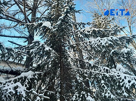 Антициклон принесет ясную, холодную погоду в Приморье