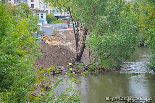 Компания Дацюка нарубила деревьев на берегу Исети более чем на 8 млн рублей