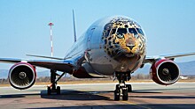 Самолет-леопард появился в России