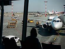 В Шереметьево могут смягчить требования к ручной клади