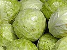 Капуста и картофель подешевели в Нижегородской области