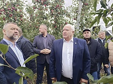 Сады Курской области