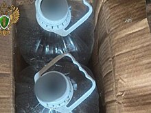 ТАСС: количество жертв алкогольного суррогата в Ленобласти достигло 41