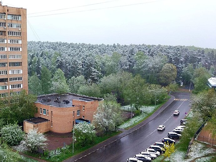 Жители Москвы и Подмосковья делятся кадрами майского снега