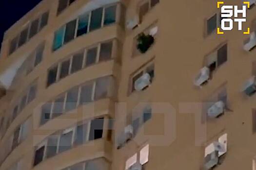 Россияне выбросили елку с 17-го этажа и попали на видео