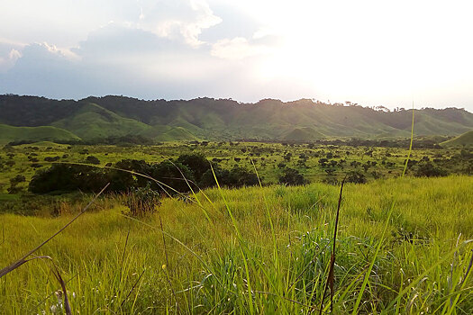 Одна вокруг света: как встретить ангела в Конго