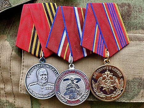 В Волгограде генерал-майор полиции Юрий Тупиков был награжден медалью Жукова за отличие в исполнении служебно-боевых обязанностей