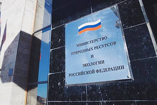 Минприроды отказывается от термина «сплошные рубки»