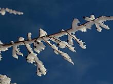 К концу недели в Самарскую область вернутся морозы