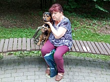 Воспитанник приюта «Бирюлево» нашел хозяев на фестивале «Собаки в городе»