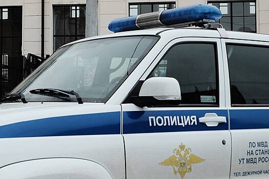 Пьяный россиянин ударил по лицу полицейского и получил штраф