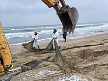Анна Попова: загрязненные пляжи Анапы пока не готовы к открытию для туристов
