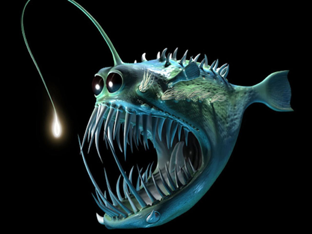 Обитатели глубин океана. Глубоководный осьминог дамбо. Ученый достигший невиданных глубин 9 букв. Морской безголовый куриный монстр. Рыба удильщик марианская впадина.