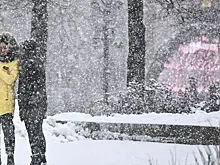 В России предложили новый способ наказывать критикующих СВО