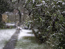 Синоптик огласила непростой прогноз погоды для нижегородцев на неделю