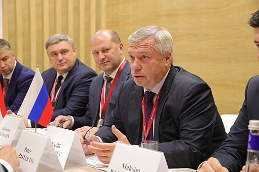 Василий Голубев рассказал о результатах ПМЭФ-2021
