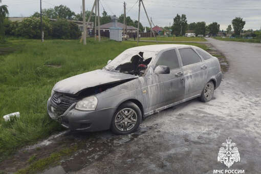 В Ульяновской области ребенка спасли из горящей машины