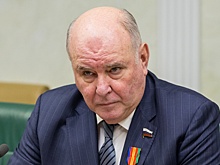 Сенатор Карасин оценил прогноз Маска о скором превосходстве ИИ