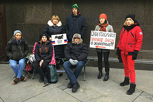 В Кремле отреагировали на голодовку зоозащитников