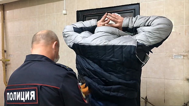 В Еврейской автономной области задержан нетрезвый водитель, оказавший активное сопротивление полиции