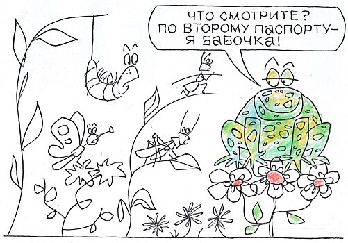 Какие проблемы бизнесмена решает второй паспорт