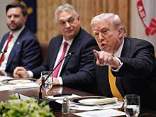 В Госдуме назвали выгоду России от встречи Трампа и Орбана