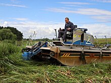Беспятовский пруд в Зарайске приведут в порядок