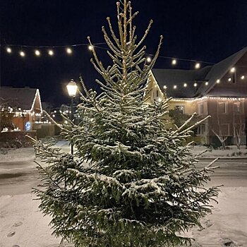 Новый год кировчане встретят без сильного мороза