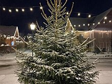 Новый год кировчане встретят без сильного мороза