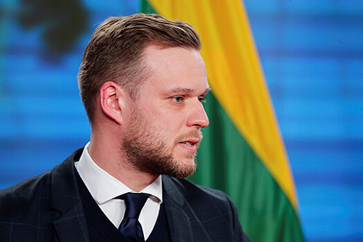 Экс-глава МИД Литвы Ландсбергис призвал Украину бить по нефтяным объектам РФ